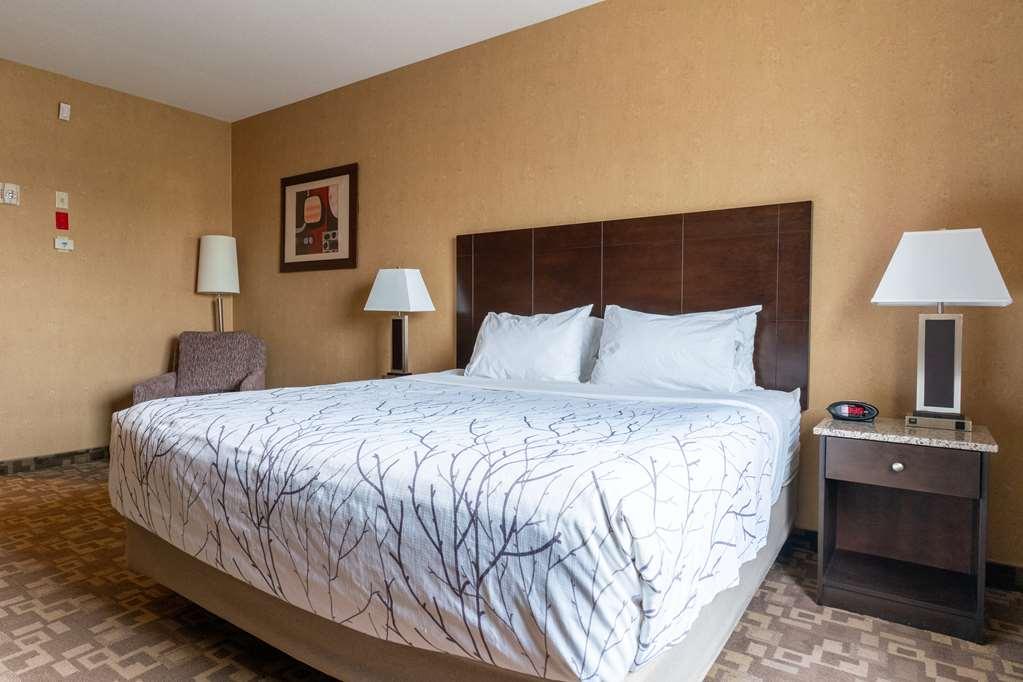 Best Western Plus South Edmonton Inn & Suites Habitación foto